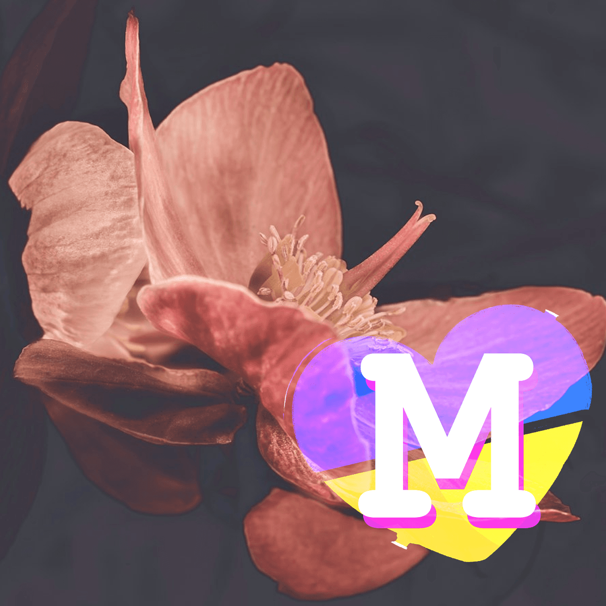 About markkët space