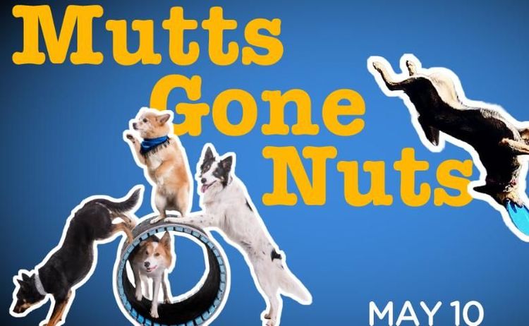 Mutts Gone Nuts