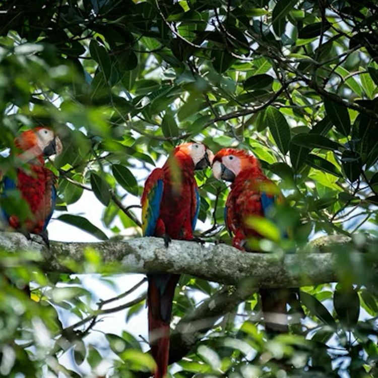 Free Online Course: Building an Online Presence with Intention