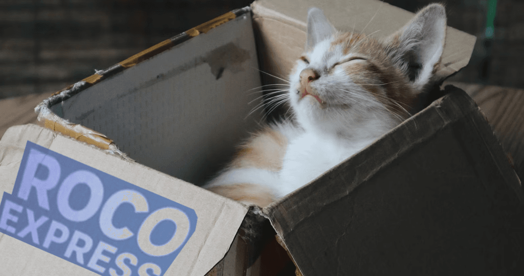 Envios sencillos y sin estres 