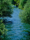 The River Knows the Way