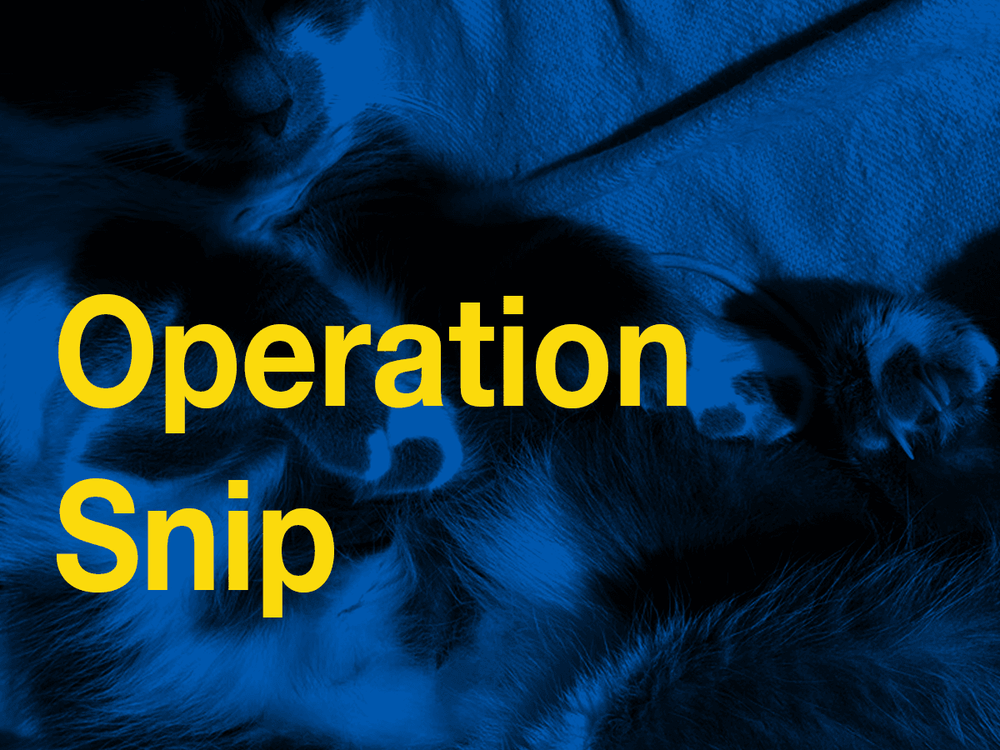 Operation snip