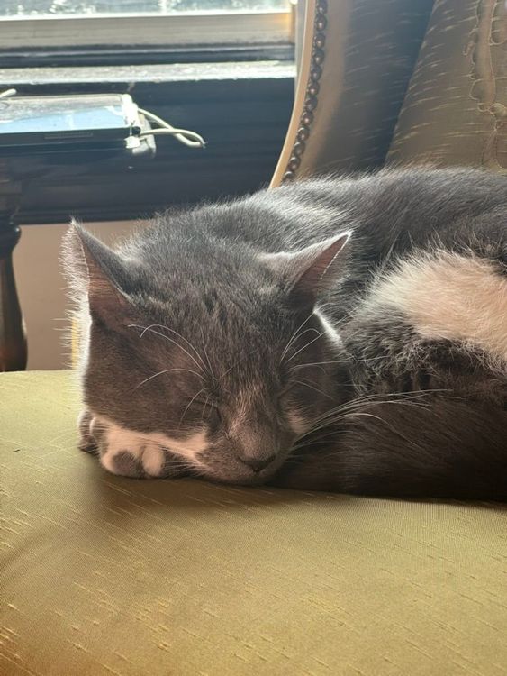 Kotaro & Honey : Our inspiration