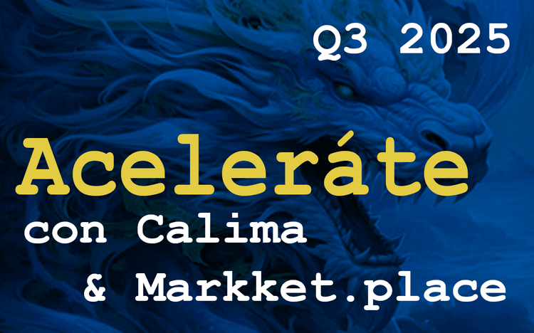 Calima & Markket Startup Accelerator 2025