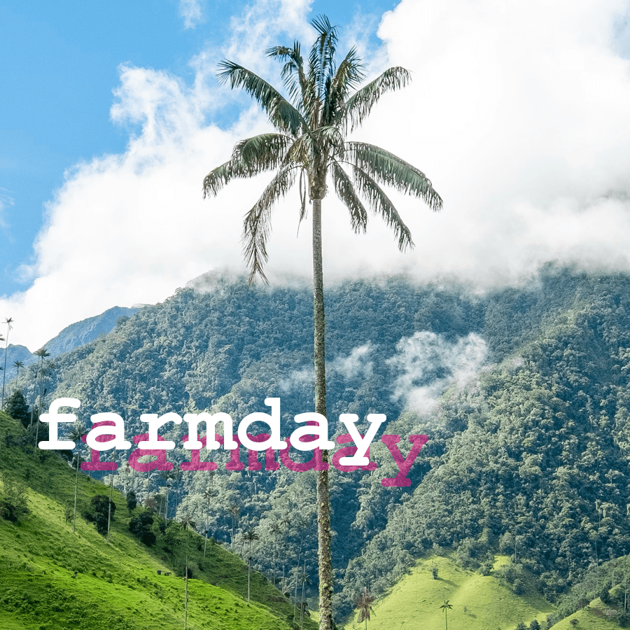 About Farmday